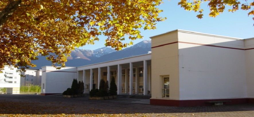 Rappresentavano ormai un pericolo: sostituite piante ai Saleggi