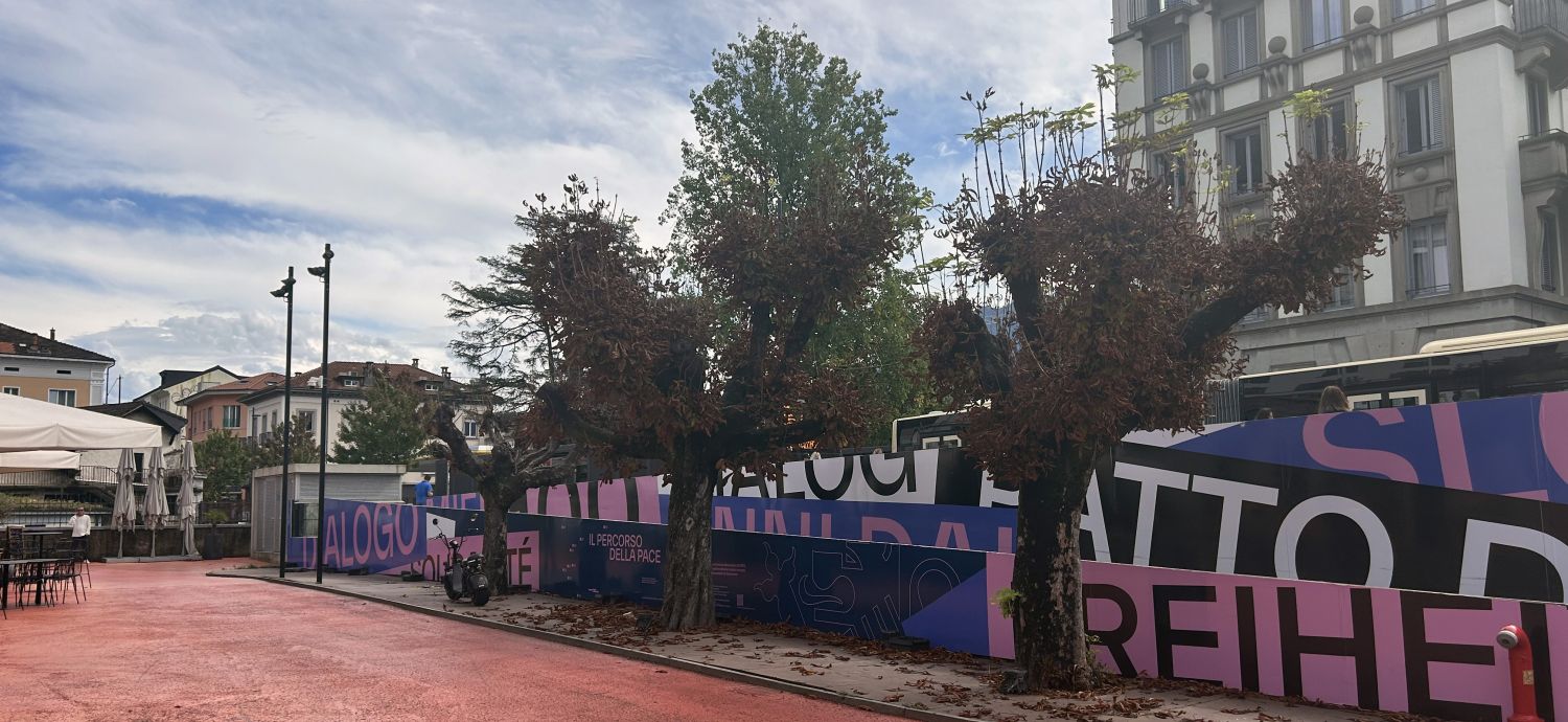 Malati e pericolosi: tre ippocastani di piazza Remo Rossi vanno sostituiti